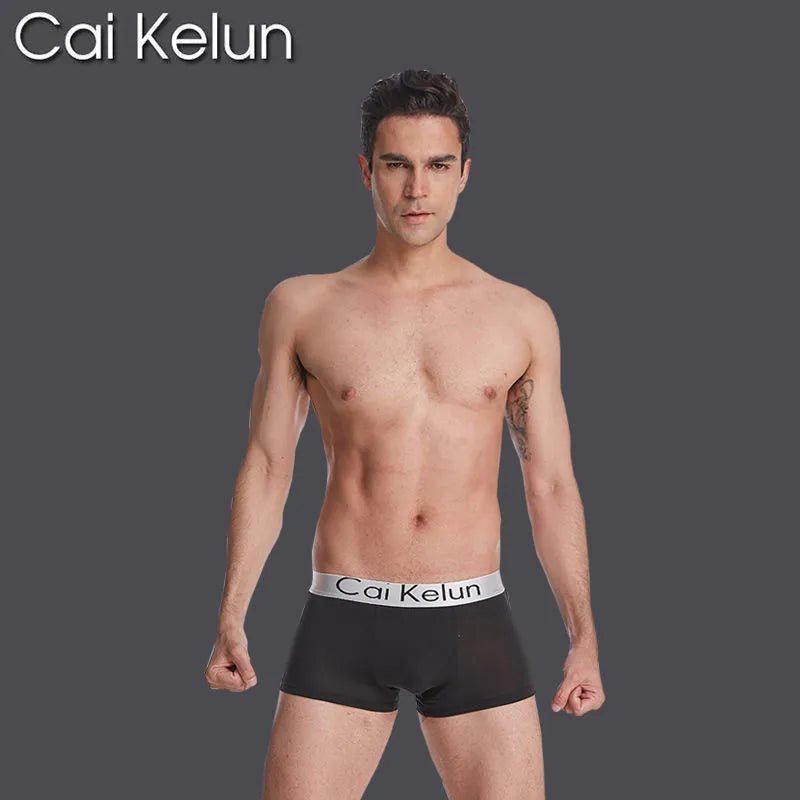 Underpants 1Pcs/Lot Sexy Designers Men Underwear Cotton Gay Boxer Shorts Boxers Mens Cueca Para Hombre