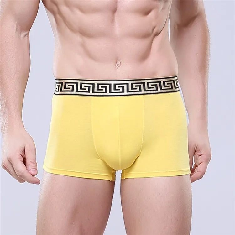 4pcs/lot high quality 11 colors sexy cotton men boxers breathable mens underwear branded boxers logo underwear male boxer