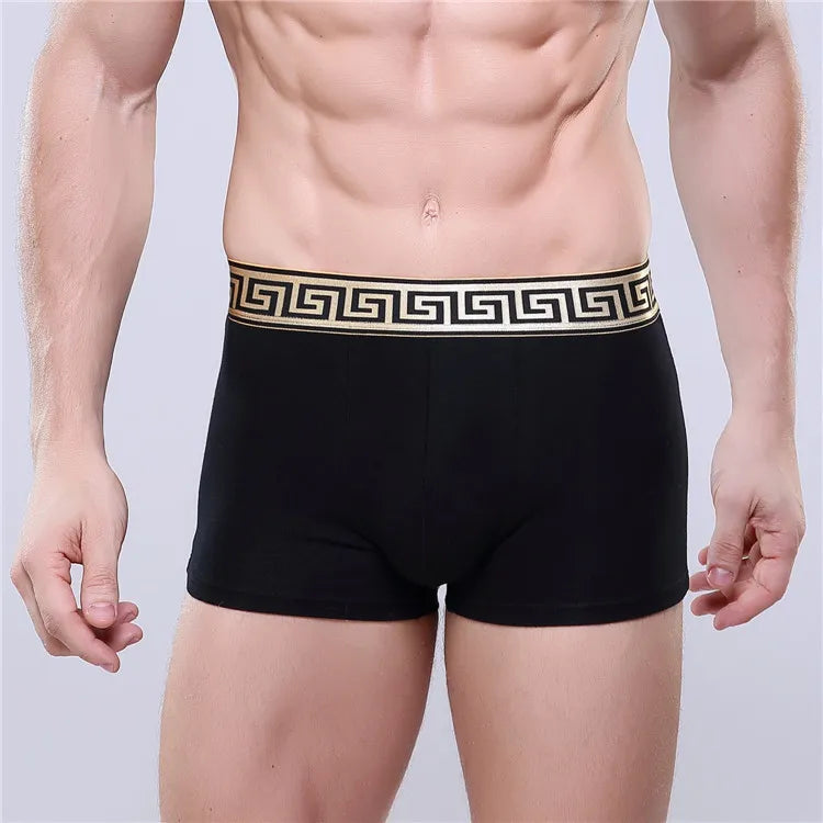 4pcs/lot high quality 11 colors sexy cotton men boxers breathable mens underwear branded boxers logo underwear male boxer