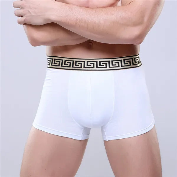 4pcs/lot high quality 11 colors sexy cotton men boxers breathable mens underwear branded boxers logo underwear male boxer