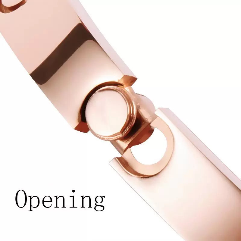 Fashion Bracelet Silver Ladies Rose Gold Lady Bangle 4CZ Titanium Steel Screw Men Screwdriver Diamond Luxury Designer Jewelry Womens Mens Bracelets